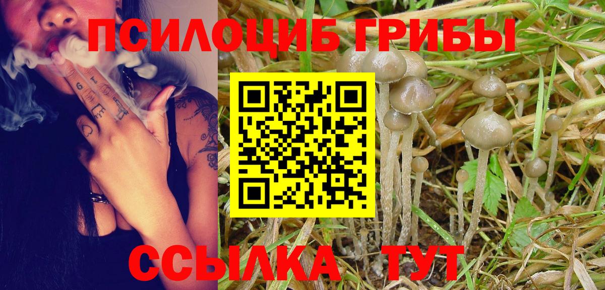 Челябинск  где можно купить наркотик  Псилоцибиновые грибы прущие грибы  Вход с VPN  Галлюциногенные грибы Psilocybe 